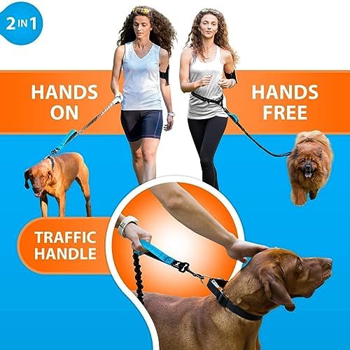 Hands Free Dog Leash Adjustable Walking Running Dog Leash with Double Upgraded Anti-Shock Bungees and Padded Handles (Color : Orange)