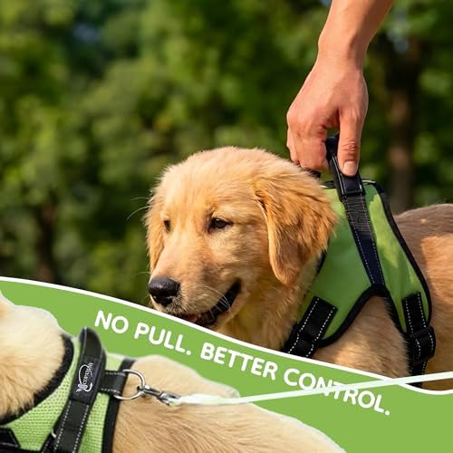 No Pull Reflective Adjustable Dog Harness with Handle- Comfortable Soft All Weather Mesh, Easy On Puppy Harness for Small Medium and Large Dogs (Green) Large