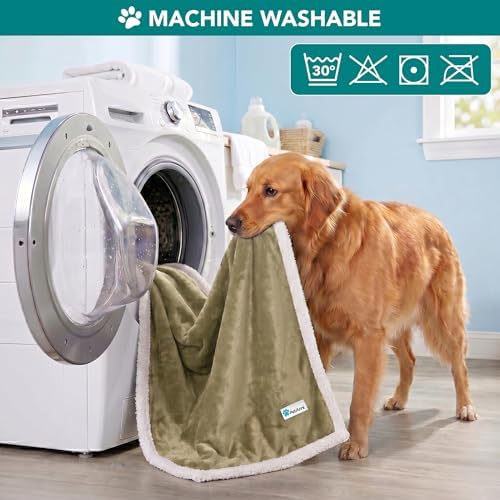 PetAmi Dog Blanket for Large Medium Pets Cats, 80x60 Twin Size XL, Taupe