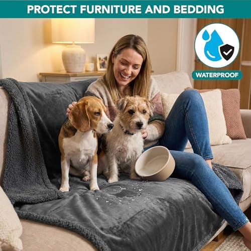 PetAmi Waterproof Dog Blanket for Medium Large Dog Pet, 60x40, Dark Grey