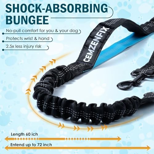 Hands Free Dog Leash for 2 Dogs – Waist Leash for Dog Walking with Dual Bungee, Reflective No Pull Design, Adjustable Belt & Pouch for Running, Hiking, Jogging