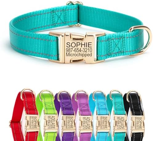 Personalized Reflective Nylon Dog Collar with Golden Buckle, Teal