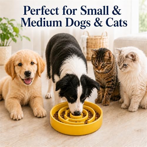 Ceramic Slow Feeder Dog Bowl, 1.5 Cup Puzzle Dish for Small Medium Dogs