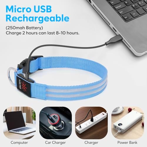 BSEEN Light Up Dog Collar - Glow in the Dark LED Dog Collar Rechargeable, Double Line Fiber Optic Lighted Puppy Collar, Safety Dog Lights for Night Walking (Blue, Medium)