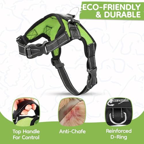 No Pull Reflective Adjustable Dog Harness with Handle- Comfortable Soft All Weather Mesh, Easy On Puppy Harness for Small Medium and Large Dogs (Green) X-Large