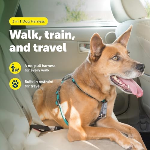 PetSafe 3 in 1 No-Pull Dog Harness - Walk, Train or Travel - Helps Prevent Pets from Pulling on Walks - Seatbelt Loop Doubles as Quick Access Handle - Reflective Accents - Medium, Teal
