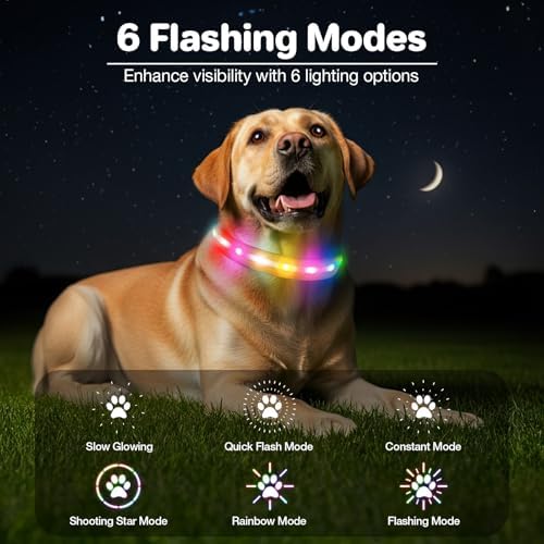 Light Up Dog Collar, Rechargeable 6 Modes, Waterproof Charging Port