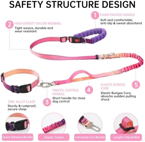 Hands Free Dog Leash and Collar Set Reflective Nylon Pet Lead Handles by Padded Traffic Handle for Small Medium and Large Dogs