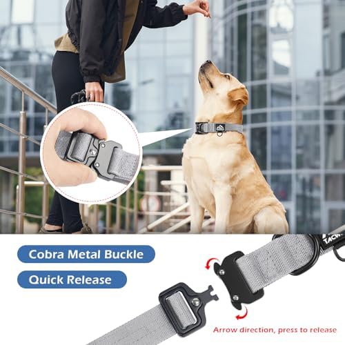 Dog Collar for Large Medium Small Dogs Leash Harness(Light Grey, 2XL)