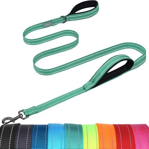 VIVAGLORY Double Handle Dog Leash Twingrip, 4ft x 1in, Turquoise