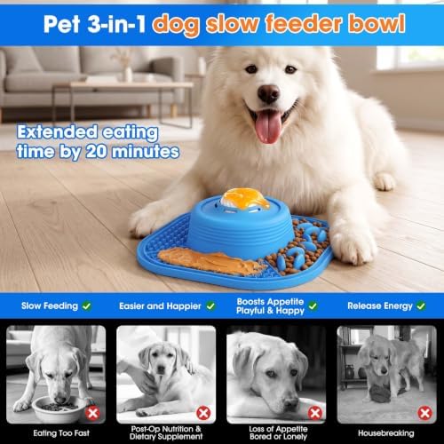 3-in-1 Dog Slow Feeder Bowl, 10in Large Non-Slip Slow Feed Dog Bowl with Removable Design, Food-Grade Silicone Puzzle Slow Feeder for Dogs & Cats, Helps Prevent Bloating and Indigestion（10 Inch）