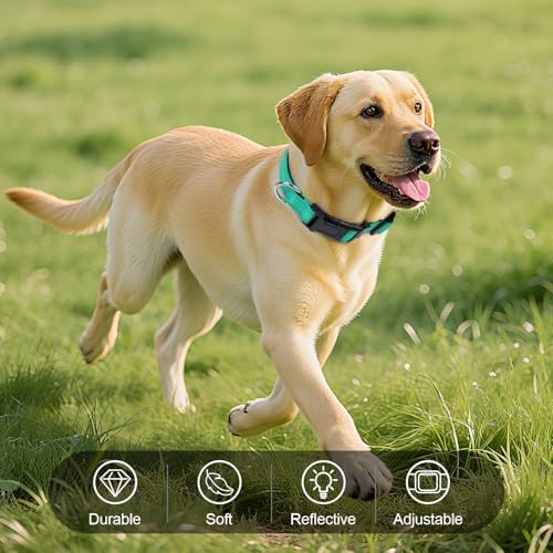 Reflective Dog Collar for Mediunm Dogs, Adjustable Collar with Soft Neoprene Padded, Durable Buckle for Daily Walking,Teal,M, 1" Width