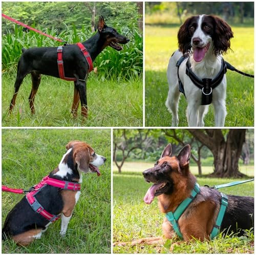 Plutus Pet No Pull Dog Harness, Adjustable Nylon Harness with Soft Padding