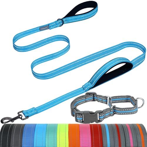 VIVAGLORY Double Handle Dog Leash Twingrip, 5ft x 1in, S, Blue Grey