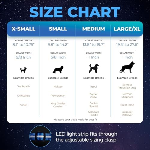 Blazin Light Up Dog Collar - The Original LED Dog Collar - USB Rechargeable - Waterproof - 1,000 Feet of Visibility - Dog Collar Light for Small, Medium, Large Dogs - USA Brand