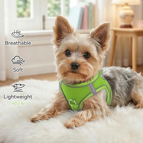 Joytale Step-in Dog Harness, Soft Breathable Mesh, Green S