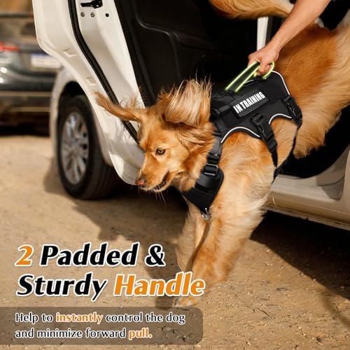 WINSEE Escape Proof Dog Harness with Double Handle+4 Removable Patches