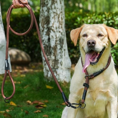 Long Dog Leash, 10ft 30ft 50 feet Heavy Duty Dog Training Leash, Aviation Aluminum Auto Locking Carabiner, Nylon Rope Long Line Check Cord Recall Lead for Yard,Playing,Camping,Blue,50FT