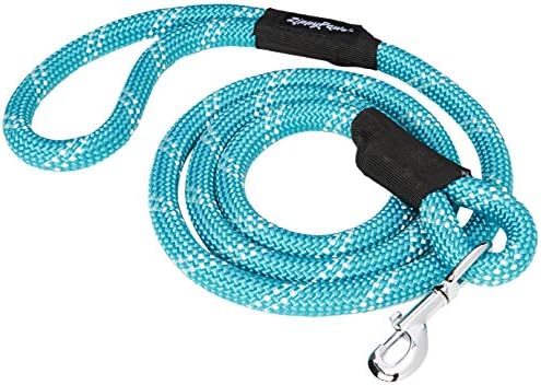 ZippyPaws Climbers Rope Heavy Duty Dog Leash, 6 Feet Long - Teal