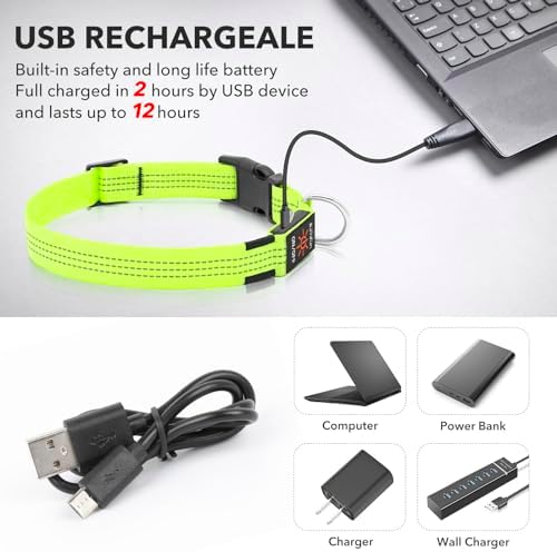 Illumifun Light Up Dog Collar - USB Rechargeable LED Dog Collar, Adjustable Lighted Pet Safety Collar for Night Walking (GreenⅢ, Small)