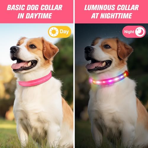 LED Dog Collar, RGB Light Up Dog Collar USB Rechargeable 6 Modes