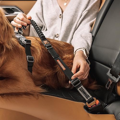 EzyDog Zero Shock Click - Bungee Dog Seat Belt Car Restraint - 20in - 26in
