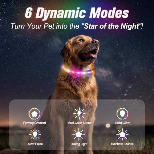 LED Dog Collar, RGB Light Up Dog Collar USB Rechargeable 6 Modes