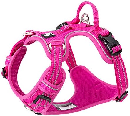 TRUE LOVE Dog Harness No Pull Nylon Reflective Pet Harness Adjustable Comfortable Control Step-in Brilliant Colors Truelove TLH56512 XS Fuchsia