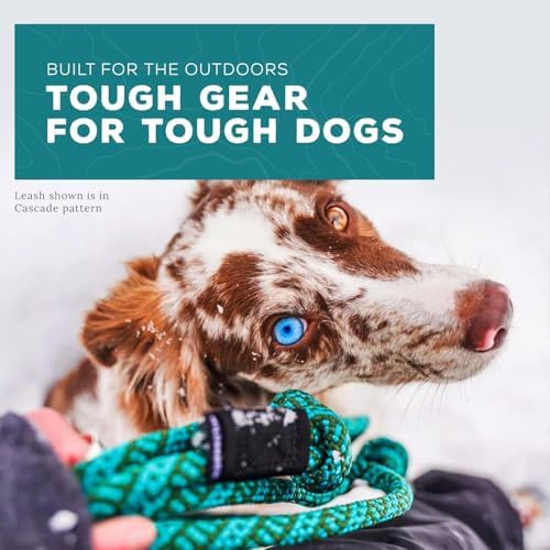 Wilderdog Climbing Rope Quick Clip Dog Leash - 5 ft - Sierra