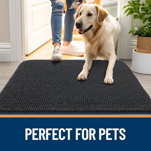 OLANLY Dog Door Mat for Muddy Paws 24x16, Super Absorbent Chenille Mud Mat