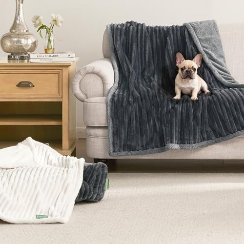 Waterproof Dog Blanket for Couch - Washable Medium Pet Blanket for Furniture Protector, Cozy Fleece Calming Dog Crate Blankets for Indoors & Outdoors, Dark Grey, 40"x50"