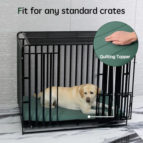BALANCE Dog Crate Bed, Orthopedic Dog Bed Pad with Waterproof Liner, Washable Crate Foam Pet Mat for Large, Medium, Puppy Dogs Breeds, Mint Leaf, 42"x28"x2"