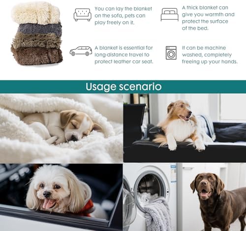 gogobunny Waterproof Dog Blanket for Couch & Furniture Protection - Super Soft Reversible Throw for Large Dogs & Cats, Calming Washable Fur & Sherpa Pet Blanket (33x77 Inch, Light Grey)
