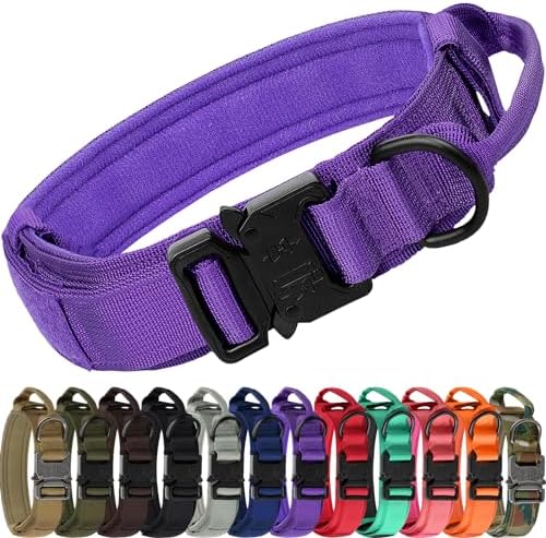 Joytale Tactical Dog Collar for Medium Dogs, Traffic Control Handle, Purple
