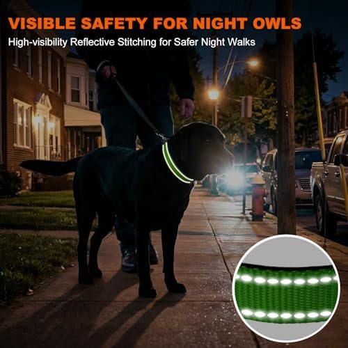 Taglory Reflective Large Dog Collar, Comfortable for Safe Night Walks,Green