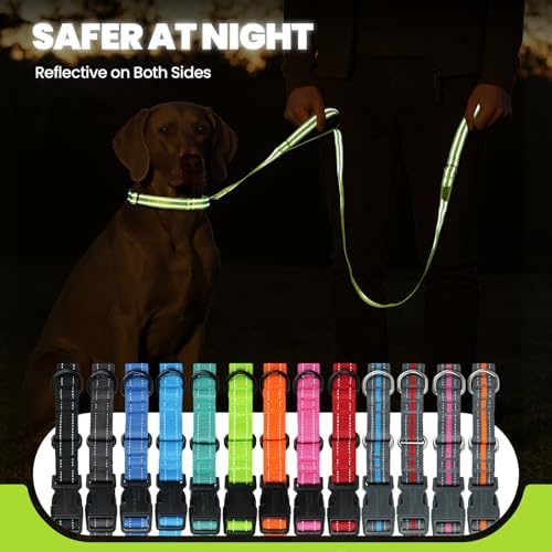 VIVAGLORY Double Handle Dog Leash Twingrip, 5ft x 1in, S, Neon Yellow