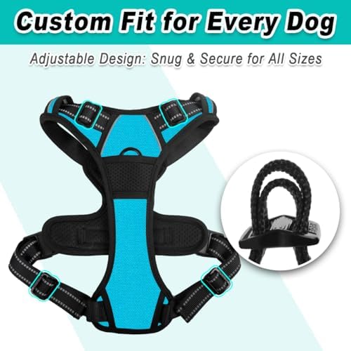 BARKBAY No Pull Pet Harness Dog Harness Adjustable Outdoor Pet Vest 3M Reflective Oxford Material Vest for BLUE Dogs Easy Control for Small Medium Large Dogs (S)