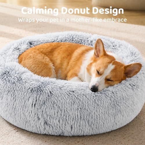 JOLLYVOGUE Dog Bed, Calming Anti-Anxiety Large Dog Bed, Fluffy Donut Cushion for Medium and Large Pets (31")