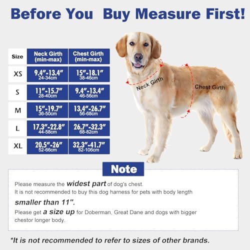 No Pull Dog Harness - Adjustable Reflective Dog Vest with Metal Snap, Soft Breathable Mesh No Choke Puppy Harness, Easy to Put on & Take Off (Blue-XL)