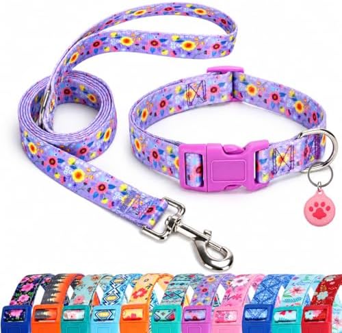 Floral Matching Dog Collar and Leash Set with AirTag Holder-Purple Daisy/L