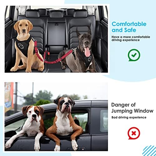 SlowTon Double Dog Seat Belt for Car with Elastic Bungee Buffer, Adjustable