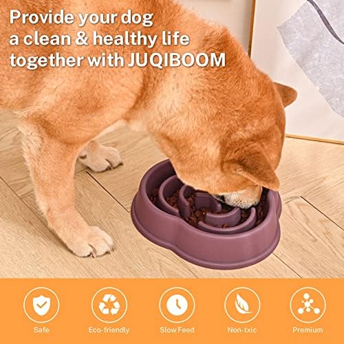 Slow Feeder Bowls for Small Medium, Puzzle Slow Feeding Pet Bowl with Anti-Slip Shim for Puppy, Non-Toxic Preventing Choking Healthy Slower Food Feeding Dishes (2pc Red)