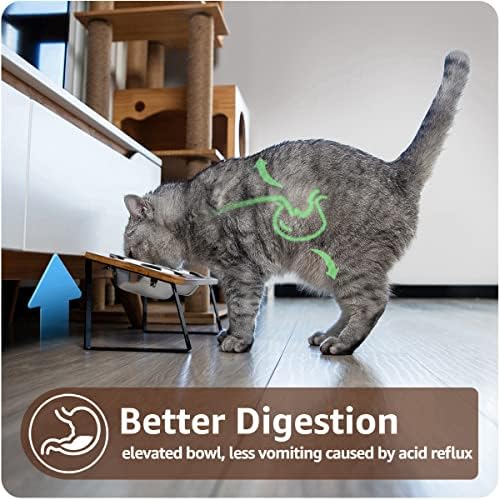 AYADA Elevated Cat Bowls Height Adjustable with Stand (Stainless Steel)