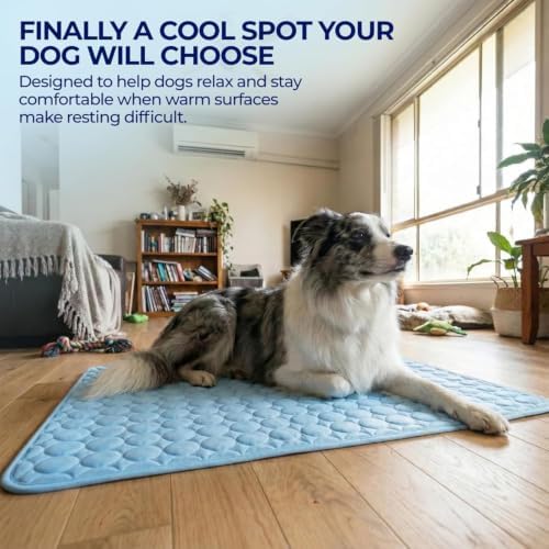 Dog Cooling Mat - No Freeze Needed, Self-Cooling Pad for Dogs, Washable Portable Coolings Pad for Dogs Cats(Gray,Small)