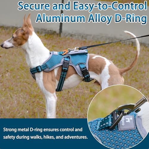 Multi-Use Support Dog Harness, Escape Proof No Pull Reflective Adjustable Vest with Durable Handle, Dog Walking Harness for Big/Active Dogs (Blue, XL)