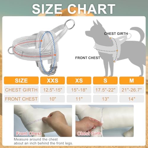 BEAUTYZOO Small Dog Harness and Leash Set, No Pull Step in Puppy Vest