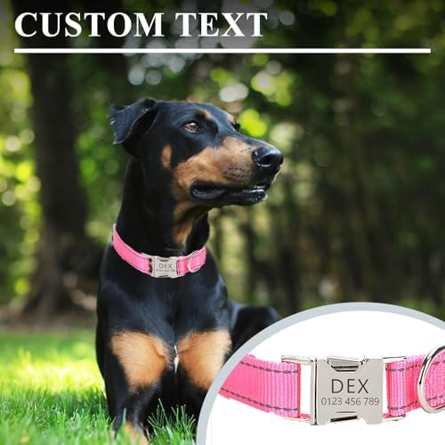 Personalized Reflective Nylon Dog Collar with Metal Buckle, Teal