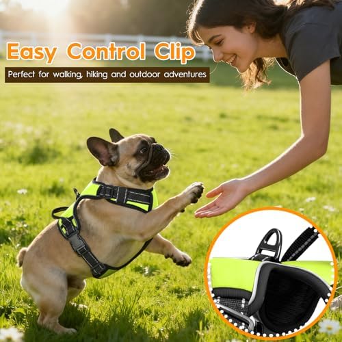 No Pull Dog Harness, No-Choke Soft Padded Reflective Dog Vest Harness with Front Clip & Top Handle, 2 Quick-Release Buckles, Adjustable for Small Medium Large Dogs