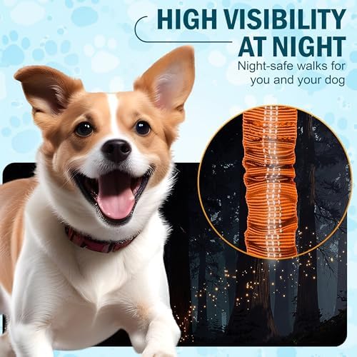 Hands Free Dog Leash with Waist Belt – No-Pull Bungee, Dual Padded Handles & Zipper Pouch for Running, Walking & Training – Adjustable Waist Leash for Large & Medium Dogs