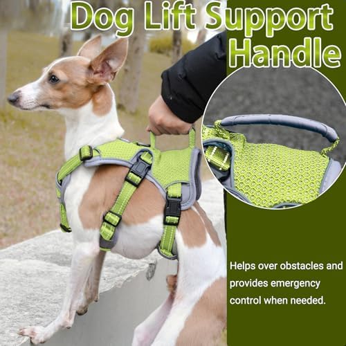 Multi-Use Support Dog Harness, Escape Proof No Pull Reflective Adjustable Vest with Durable Handle, Dog Walking Harness for Big/Active Dogs (Green, S)